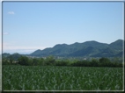 foto Colline tra Fonte Alto e Paderno del Grappa